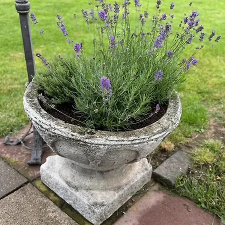 Weserblick, Haus Zander * Rinteln